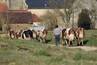 Visite à la ferme